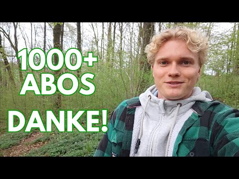 Über 1000 Waldelben🌳 Danke für euer Interesse an Bäumen!