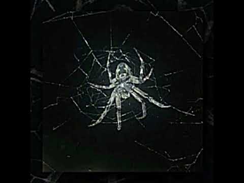 Ufo361 x Ken Carson - Rick Owens (slowed&bass boosted)