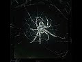 Ufo361 X Ken Carson Rick Owens Slowed Bass Boosted