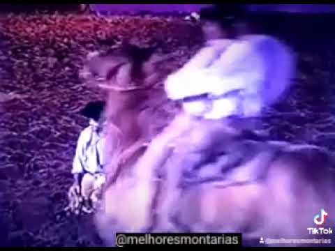 AMAMBAIA DA TROPA DO SIDNEY BARRETO