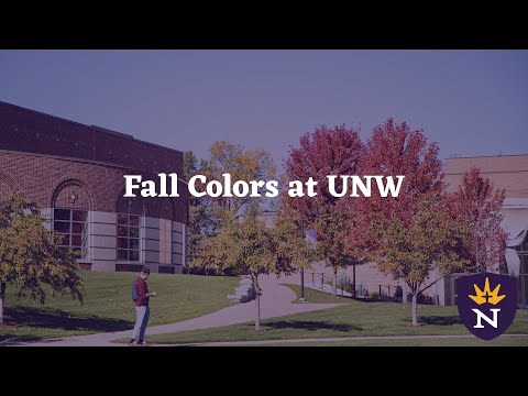 University of Northwestern-St Paul - video