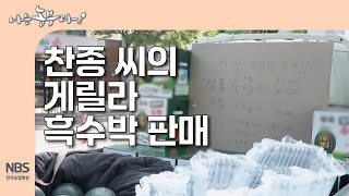 [나는농부다 303회] 찬종 씨의 게릴라 흑수박 판매