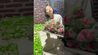 Download lagu Steamed sponge cake mp3 Download lagu Steamed sponge cake mp3