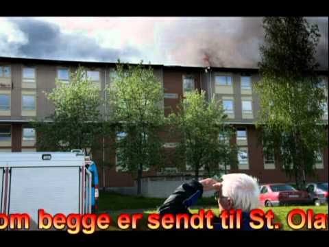 Storbrann på Kattem.avi