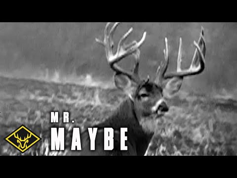 The Story of Mr. Maybe | A 228" Legend...