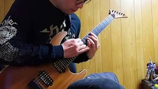 Dying Fetus - Subjected to a Beating (guitar cover)
