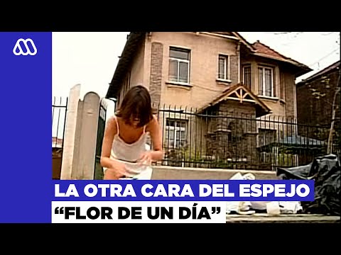 La otra cara del espejo | "Flor de un día" - MEGA