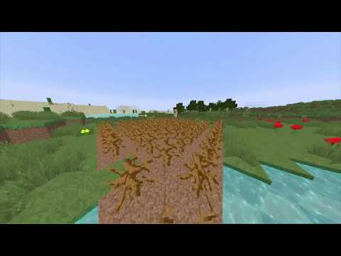 If Minecraft removed Deadbushes