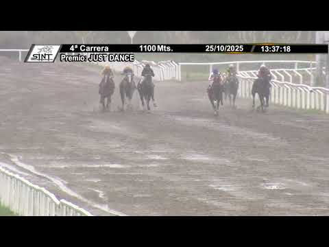 SINT COLONIA 251025 c04 - DON SULEYMAN