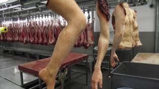 MENTE DEVIL - Carne de Cabrón (Con Hermo NOXIUS) Lyric Video