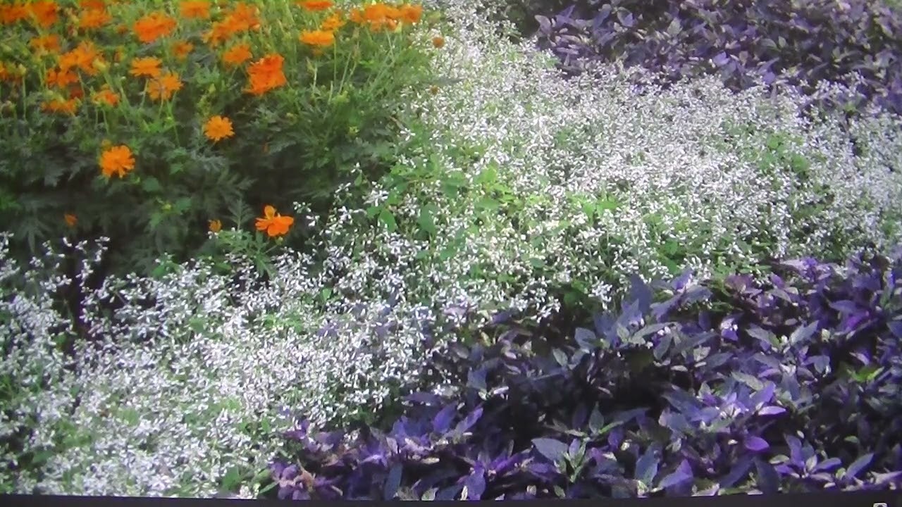 横につながっていくエプスタイン包囲網　日本も例外ではない