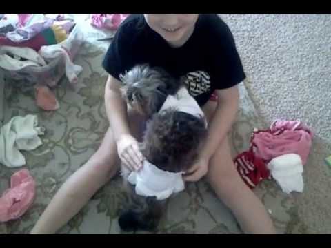 This dog should be on the Ellen DeGeneres show!!! LOL