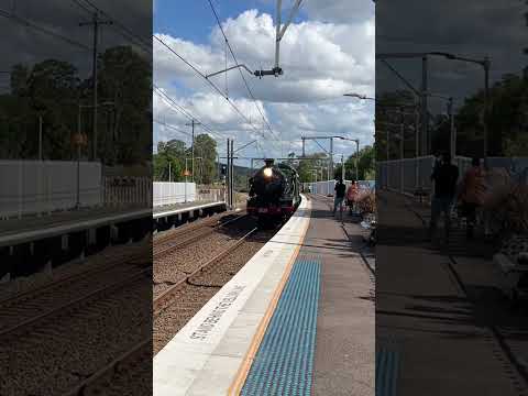 Locomotive 3526 passing Morisset #trains #railway #transport #steamtrain #nswtrainlink #3526