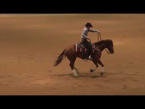 200222 Open Austin Morris on John Wayne Tag