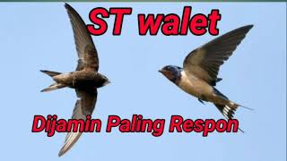 Download lagu Suara Tarik Burung Walet mp3