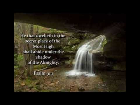 Walking In His Shadows