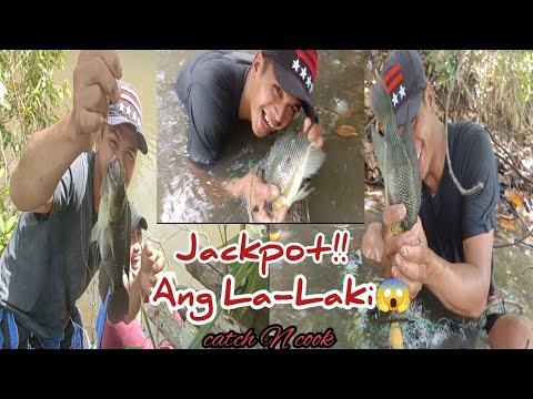 p1Kahit Hind man Kami Swenerte sa Pamimingwit! Jackpot nman sa Panlalambat!Ang La-laki Ng mga Huli!