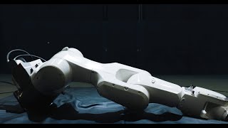 disarming II installation