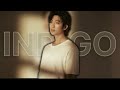 RM - INDIGO (Full Album)