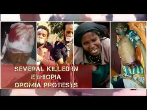 Diriirsaa Elemoo New Oromoo music 2017