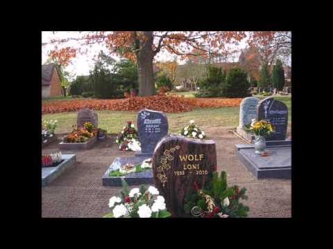 Letzlingen 10. November 2016