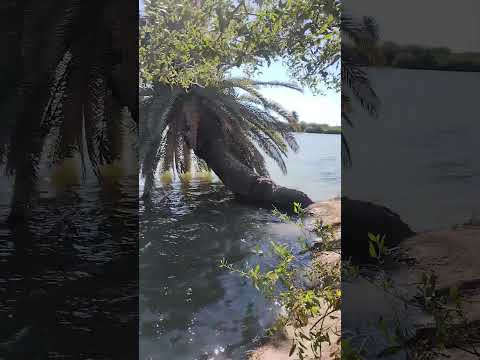 les dejo aqui un oasis de añatuya Santiago del estero ,😸suscribanse a mi canal,gracias