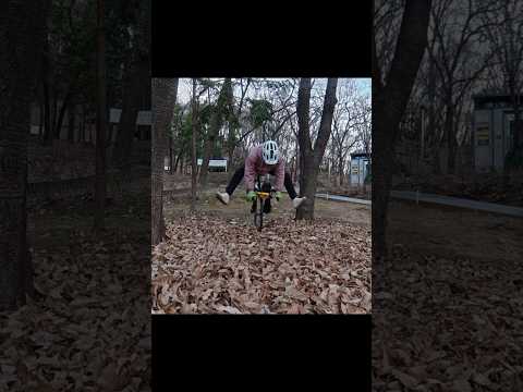 새해복많이받으세요