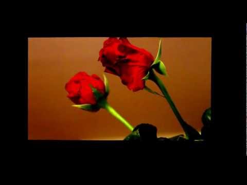 SuperVersus (Kasandra) - Akimirkos