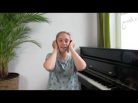 25. STIMMSINN - Astronautenohren