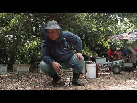 徐仲彥《讓蜜蜂回家》影片縮圖