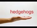 How to Pronounce hedgehogs - American English