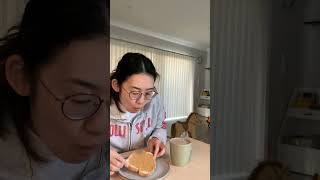 オーストラリア主婦の映えない朝🌞 #オーストラリア #オーストラリア生活 #専業主婦#子育て#海外生活