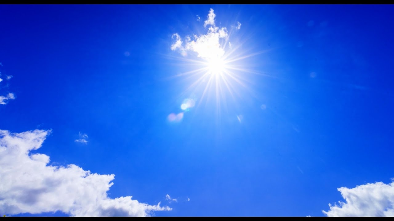 Shogo Hamada Official Web Site