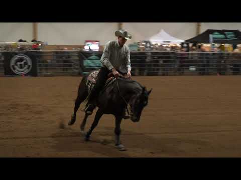 HEEZSHAKENNOTSTIRRED & Roy van der Hoeven --- NRHA SWE Futurity --- Axvalla / Sweden --- SEP 2021