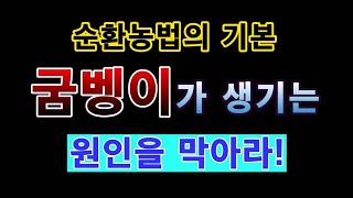[텃밭농부. 1,312]  순환농법의 기본.  굼벵이가 생기는 원인을 막아라. #굼벵이