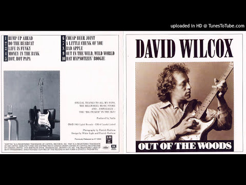 David Wilcox and the Teddy Bears - Sweet Thing (Live 1978)