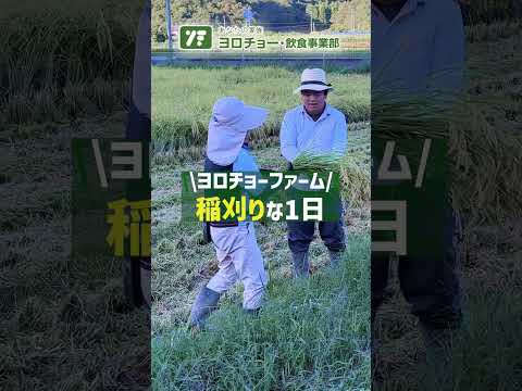 稲刈りな一日！