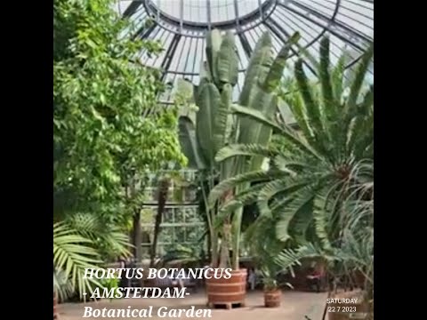 Hortus Botanicus Amsterdam (Botanical garden Amsterdam ) - 5 minute travel guide - What to visit
