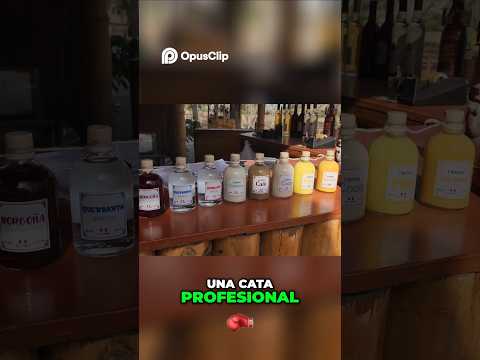 Combinación PERFECTA de MAR, DESIERTO y PISCO en Perú🔥 #ica #perú #viajes