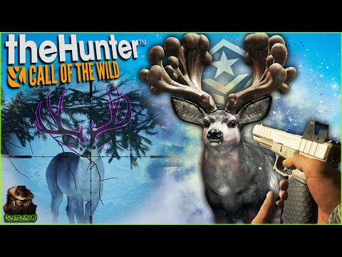 We Got A SUPER RARE & GREAT ONE Mule Deer In The Same Day! Call of the wild