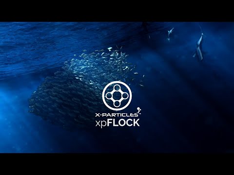 INSYDIUM Beta Access - Sneak Peek - xpFlock