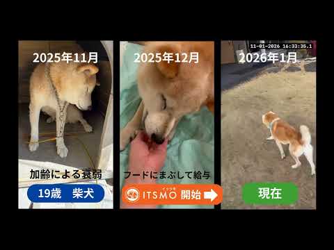 YouTube サムネイル