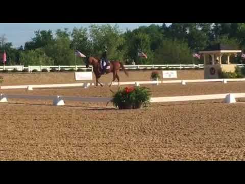 2018 USEF Festival of Champions