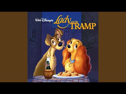 The Siamese Cat Song/What's Going on Down There