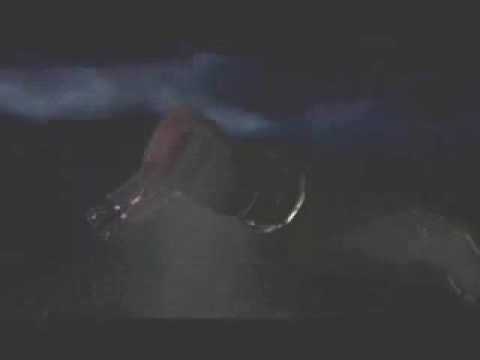 Resonnances Trailer 320