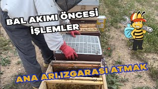 BAL AKIMI ÖNCESİ İŞLEMLER    ANA ARI IZGARASI ATMAK