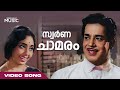 Swarna Chamaram Full Video Song Yakshi Movie Sathyan KJ Yesudas P Leela