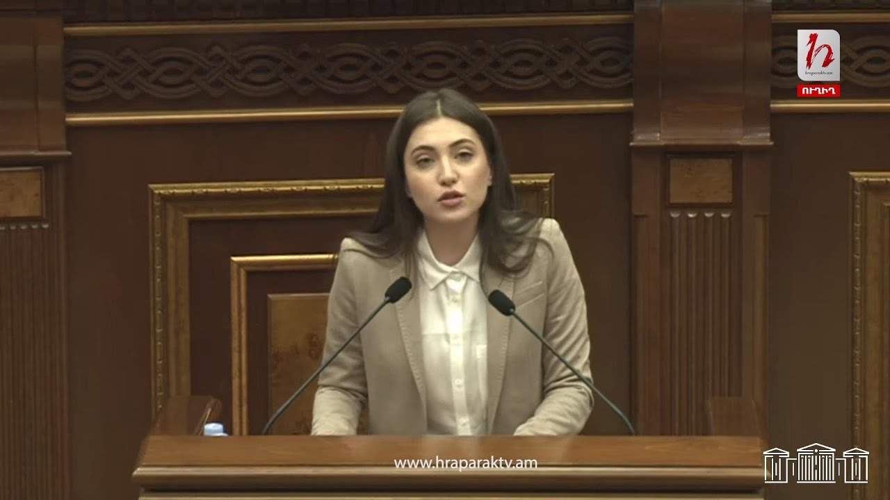 Հայաստանում տեռոր է. Աննա Մկրտչյան