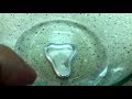 L A Beast VLOG 38 I Hate Gallium Gallium Looks Exactly Like The Cop From Terminator 2