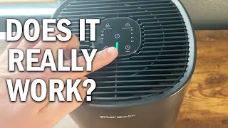 Elevate Your Home PuroAir HEPA 14 Air Purifier Review -  Doe